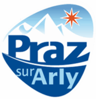 chauffeur-prive-praz-sur-arly-espace-diamant