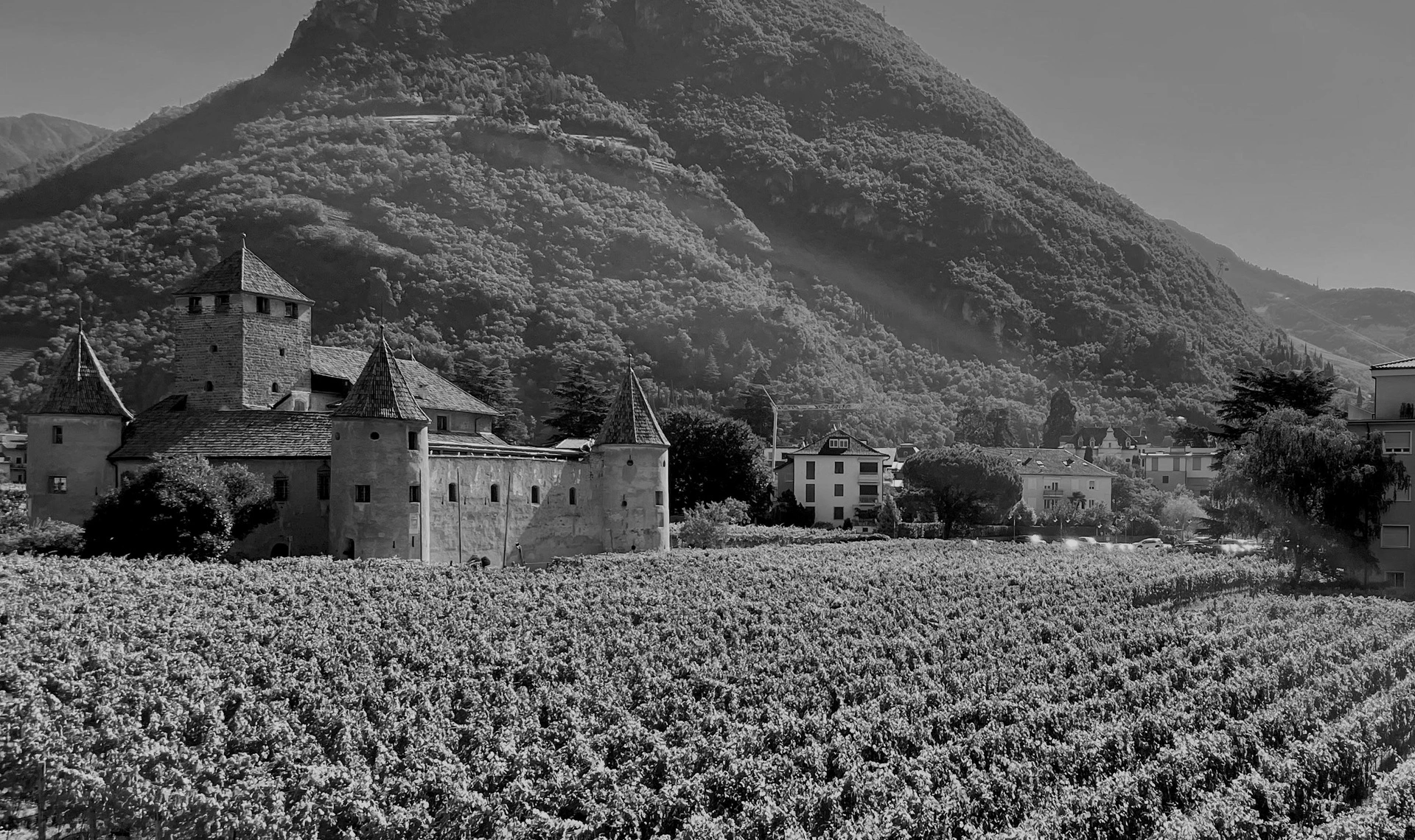 chauffeur privé vtc